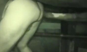 zoofilia di gruppo,clip di sesso allo zoo