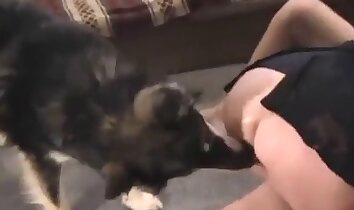 zoofilia em grupo,sexo selvagem zoofilia