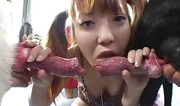 亚洲动物园色情,恋兽癖色情视频