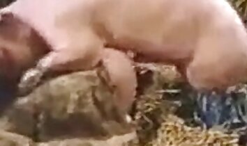 Sex auf dem Bauernhof,Sex zwischen Mensch und Tier