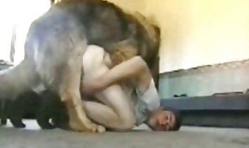 sesso hardcore con animali,sesso a pecorina