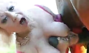pornografia animal ao ar livre,pornografia feminina e animal