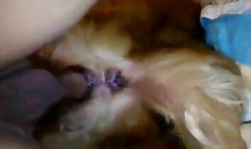 sexo animal hardcore,foda gostosa