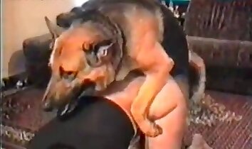 sexo cachorrinho,pornografia feminina e animal