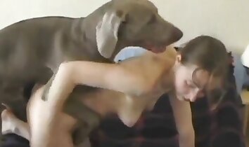 zoo sex clips,wild zoophilia sex