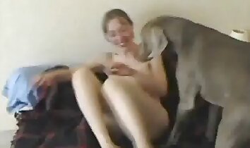clips de sexo zoológico,sexo zoofílico salvaje
