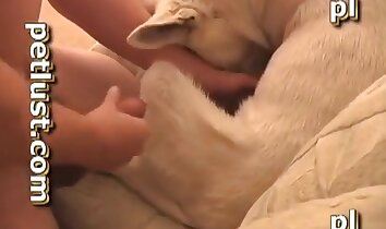 sexo zoológico con mascotas,sexo entre hombres y animales