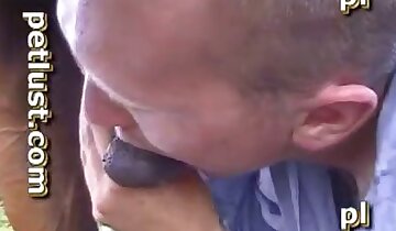 zoo-porno gay,un homme baise un animal