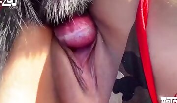 sexe entre filles et animaux,vidéo porno de chien