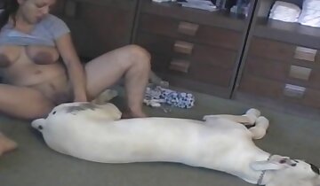 blowjob and mouth fucking,wild zoophilia sex