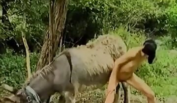 σέξι ξανθές πόρνες,ζώο πηδάει γυναίκα