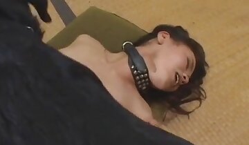 oralsex,hardcore djursex