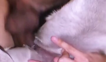 sexo selvagem zoofilia,sexo zoofilia