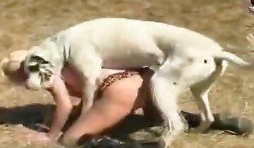 anal bestiality porn,sexy blonde sluts