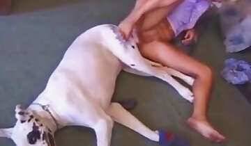 sex s dívkami a zvířaty,tvrdý zvířecí sex