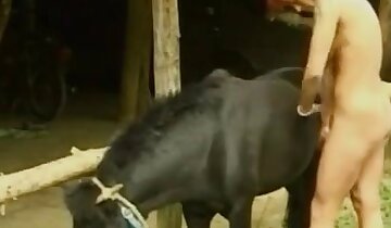 animal fucks woman,girl and animal sex