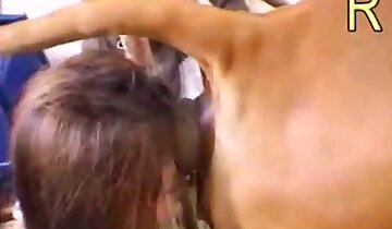 garotas gostosas e sensuais,pornô zoológico asiático