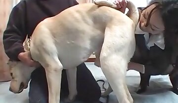 hayvanla sevişen adam,azgın porno