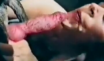 tình dục động vật hoang dã,động vật quan hệ với phụ nữ