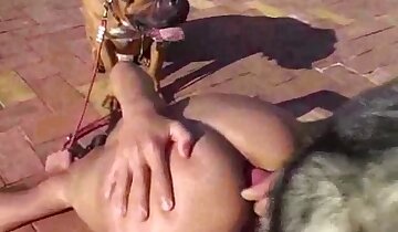 analna zoofilija pornografija,divji zoofilski seks