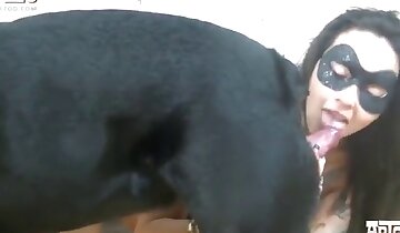 hayvan kadını beceriyor,amatör zoofili pornosu