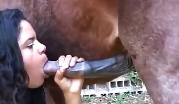 animal fode mulher,cavalgando pau