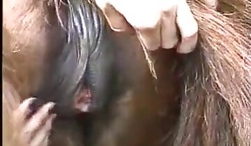 sexy blonde sluts,the hottest zoo porn