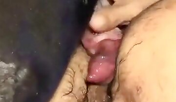 hombre follando con animal,pornografía animal en grupo