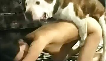sesso orale,piacere sessuale con un animale