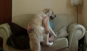 phim khiêu dâm động vật nghiệp dư,thú tính ở nông trại