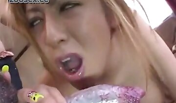 japonska zverinost,gejevska živalska pornografija