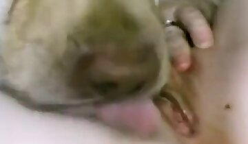 hardcore animal sex,zoo porn clips