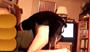 pornô gay em zoológico,homem transando com animal