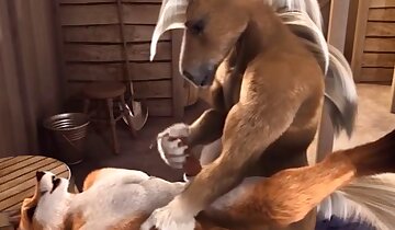 sesso passionale,video di sesso con animali