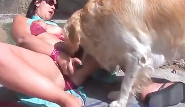 jente- og dyresex,hundesex