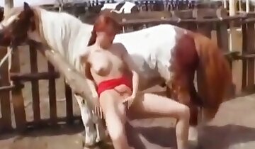 häst xxx porr,djursexvideo