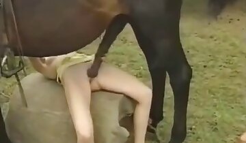 pornô gay em zoológico,humanos se metem com feras