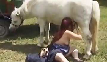 hayvan kadını beceriyor,kız ve hayvan seks