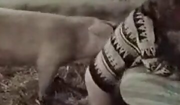 horny porn,hardcore animal sex