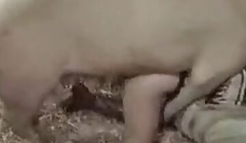 kåt porno,hardcore dyresex