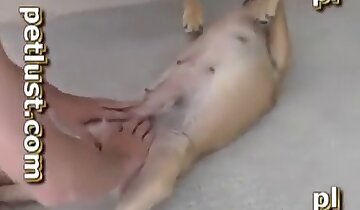 kız ve hayvan seks,hayvanla sevişen adam
