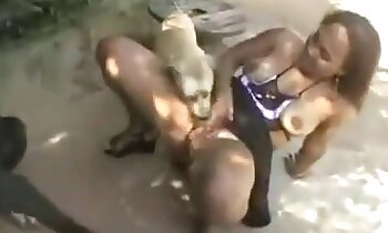 videos porno zoofilia,vídeo gratuito de zoofilia canina