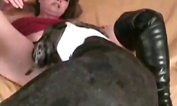 zvířecí porno zdarma,psí porno video