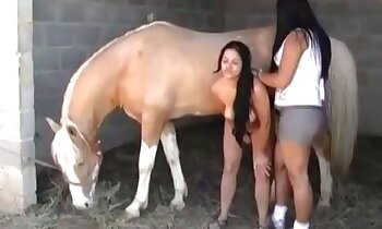 sexo entre animales y mujeres,latinas sexys