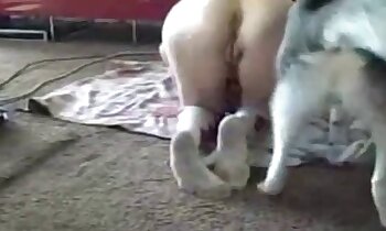 vídeo pornô de cachorro,filmes com bestialidade