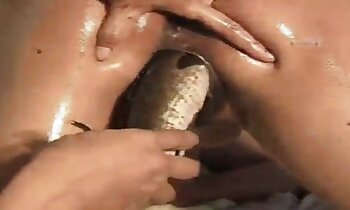 vidéos de bestialité torride,zoophilie porno