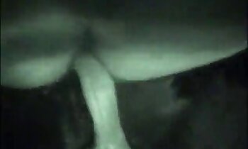 scopata selvaggia,video porno di cani