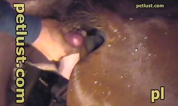 free zoosex videos,man and animal porn