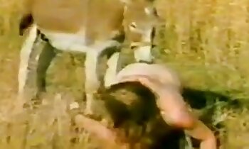 vídeo pornô de zoológico,pornografia animal grátis