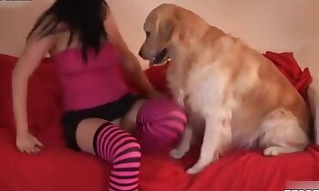 porno animali gratis,scopata selvaggia